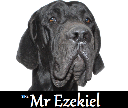 Mr Ezekiel